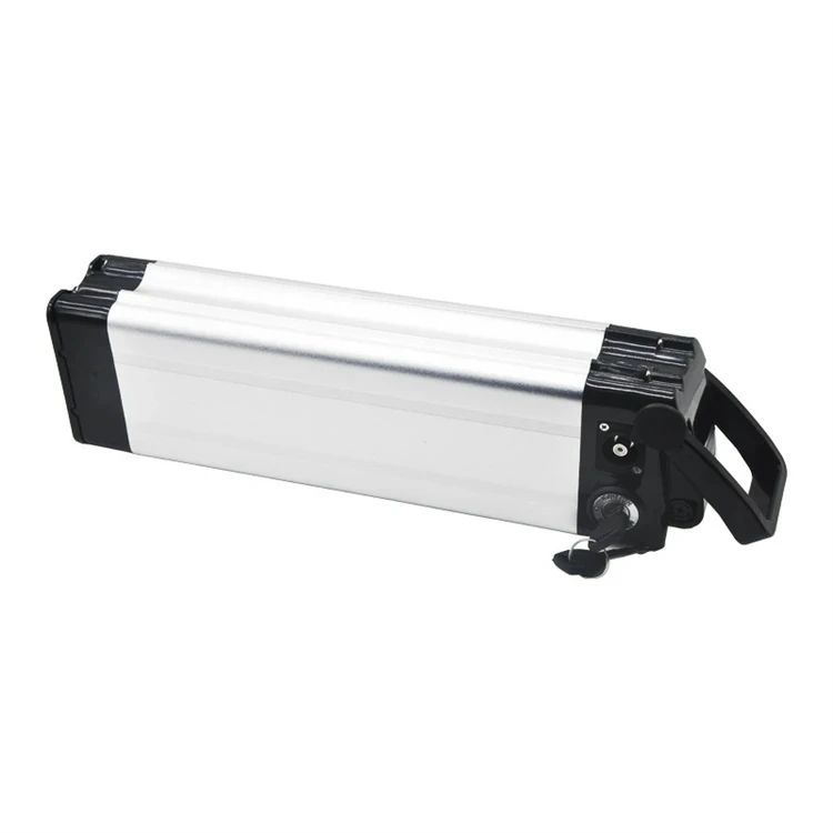 Pin lithium cá bạc 48V