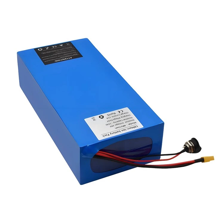Bộ pin Ebike tùy chỉnh 48V 52V 60V cho Ebike 750w 1000w 2000w