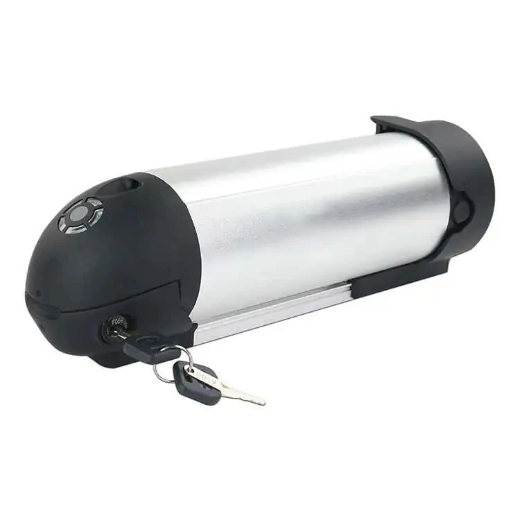 Ắc quy xe đạp điện 48v