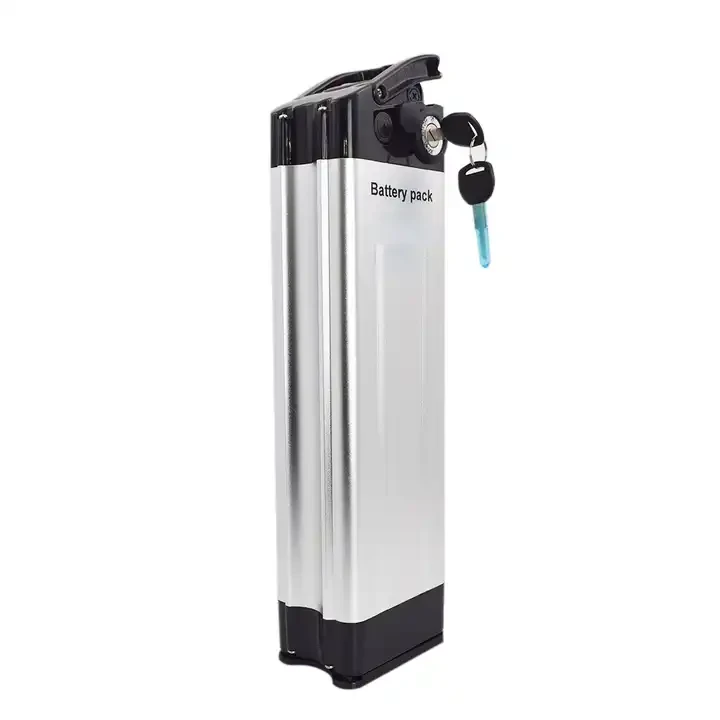 Pin cá bạc 36v