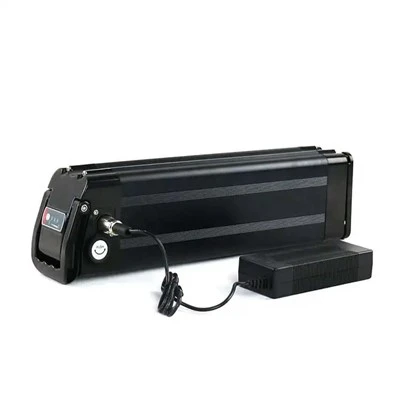 Cảm nhận sức mạnh của pin xe đạp điện
